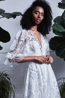Ailyn Dress