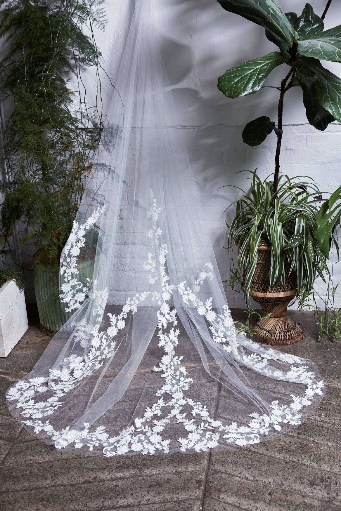 Andrea Veil