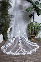 Andrea Veil
