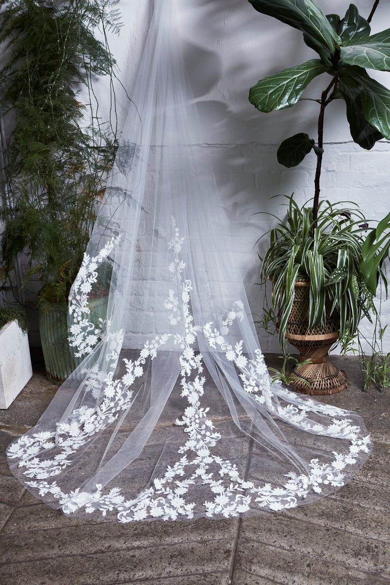 Andrea Veil
