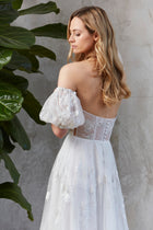 Albina Dress & Sleeves