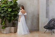 Albina Dress & Sleeves