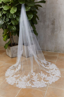 Alexa Veil