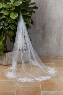 Aylin Veil