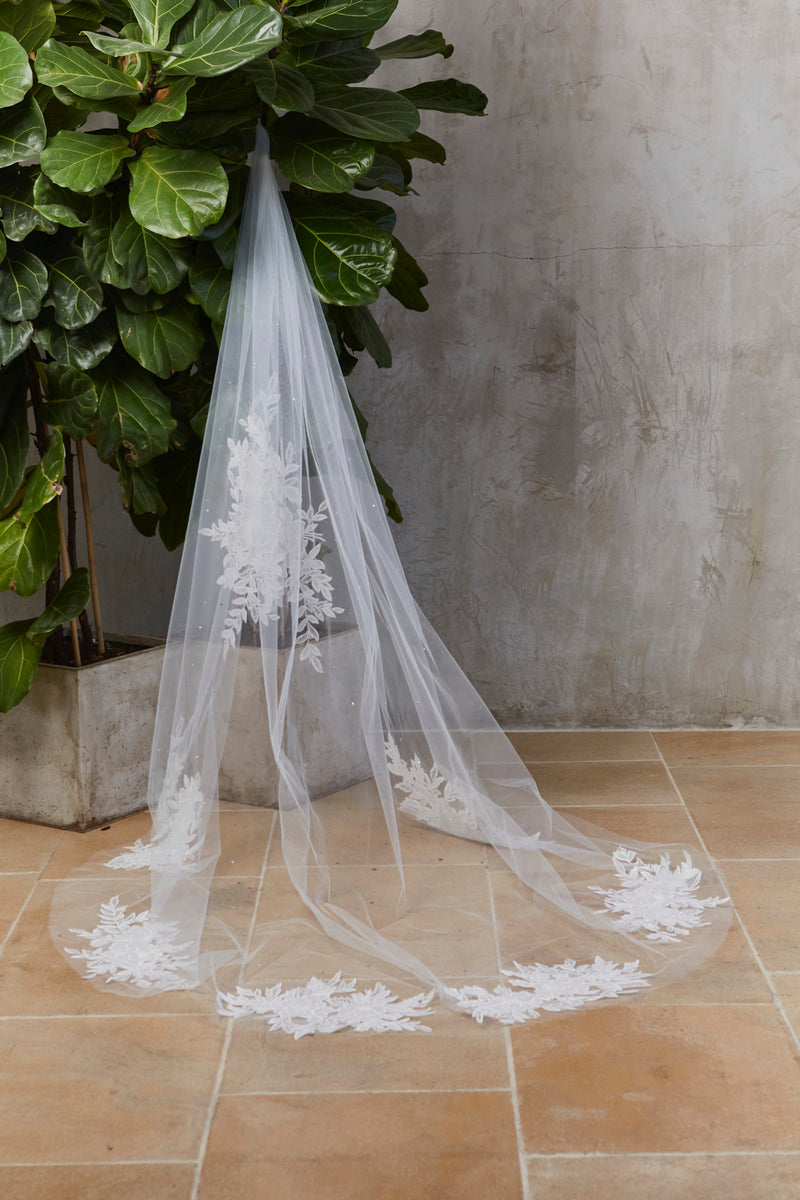 Aylin Veil