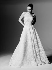 Alianna Dress & Sleeves