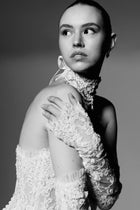 Alianna Dress & Sleeves