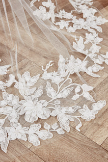 Anita Veil
