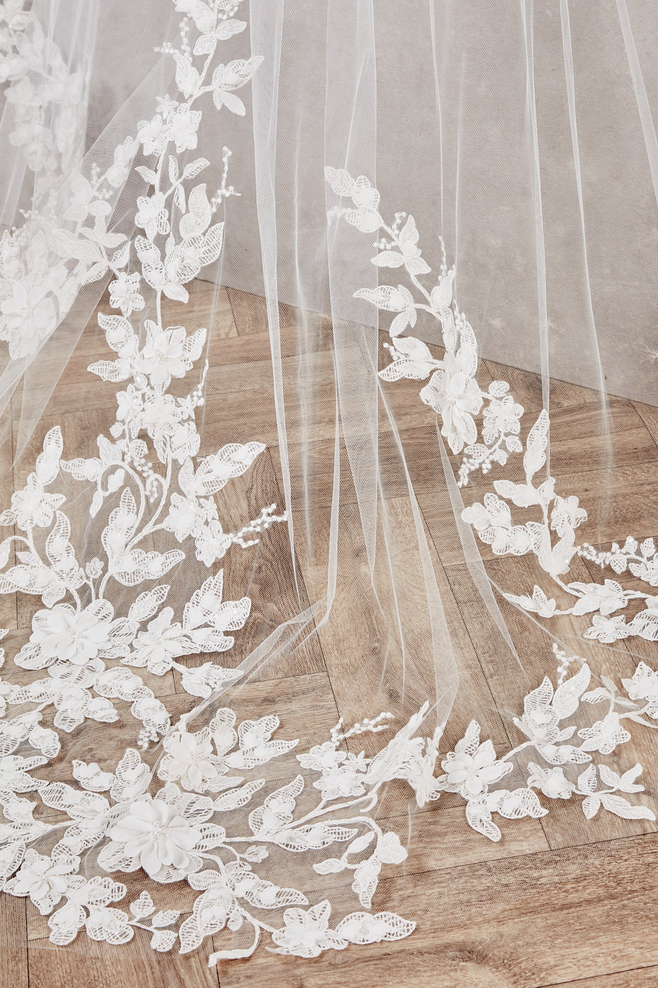 Anita Veil