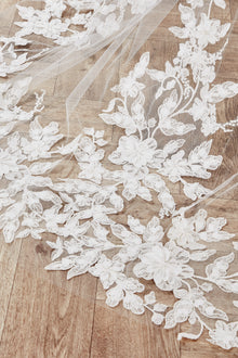 Anita Veil