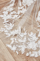 Anita Veil