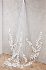 Anita Veil