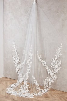 Anita Veil