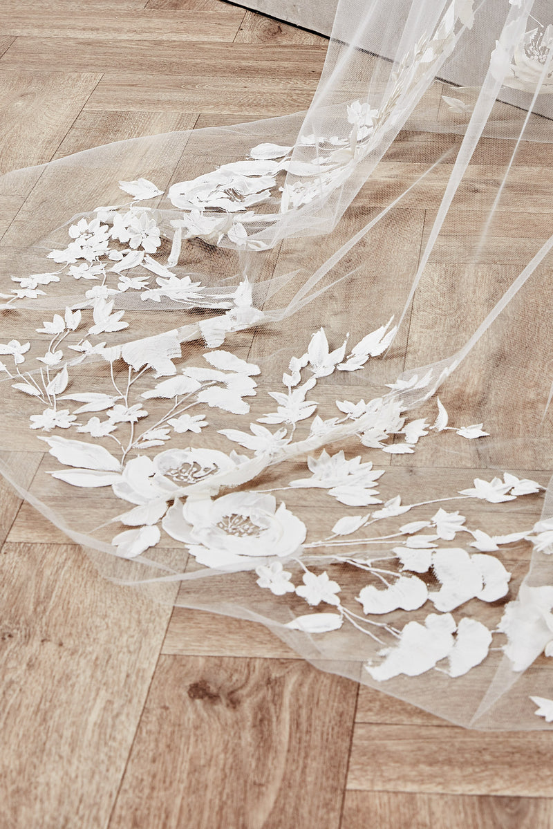 Lottie Veil