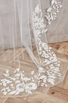 Lottie Veil