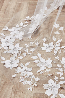 Lily Veil