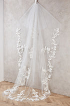 Lori Veil