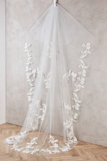 Lori Veil