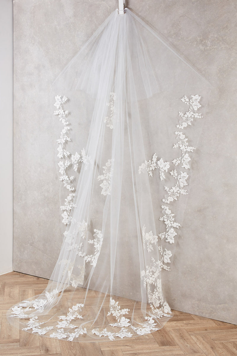 Lori Veil
