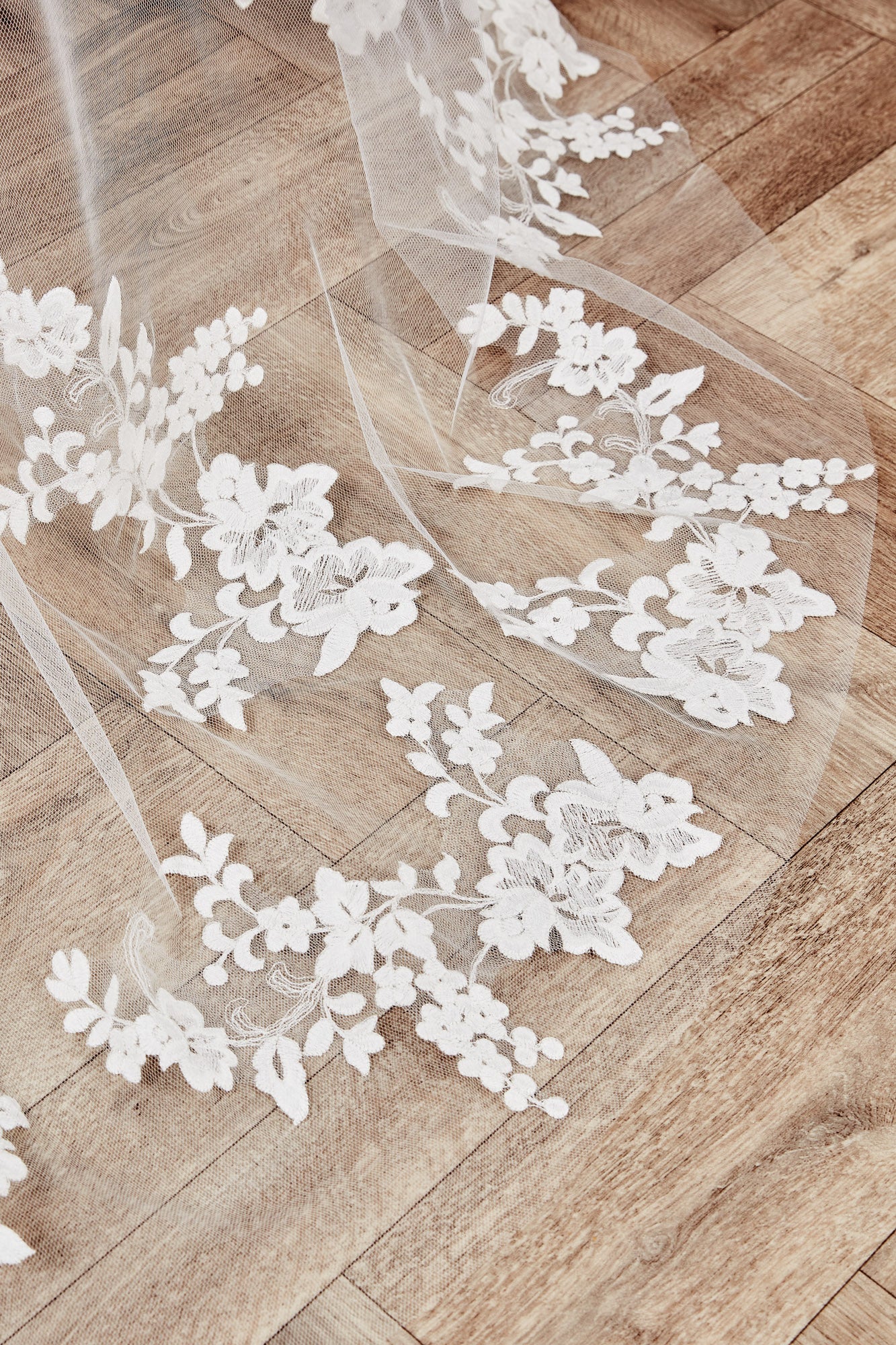 Lori Veil