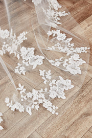 Lori Veil