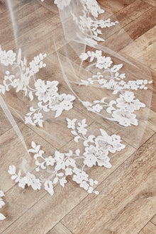 Lori Veil