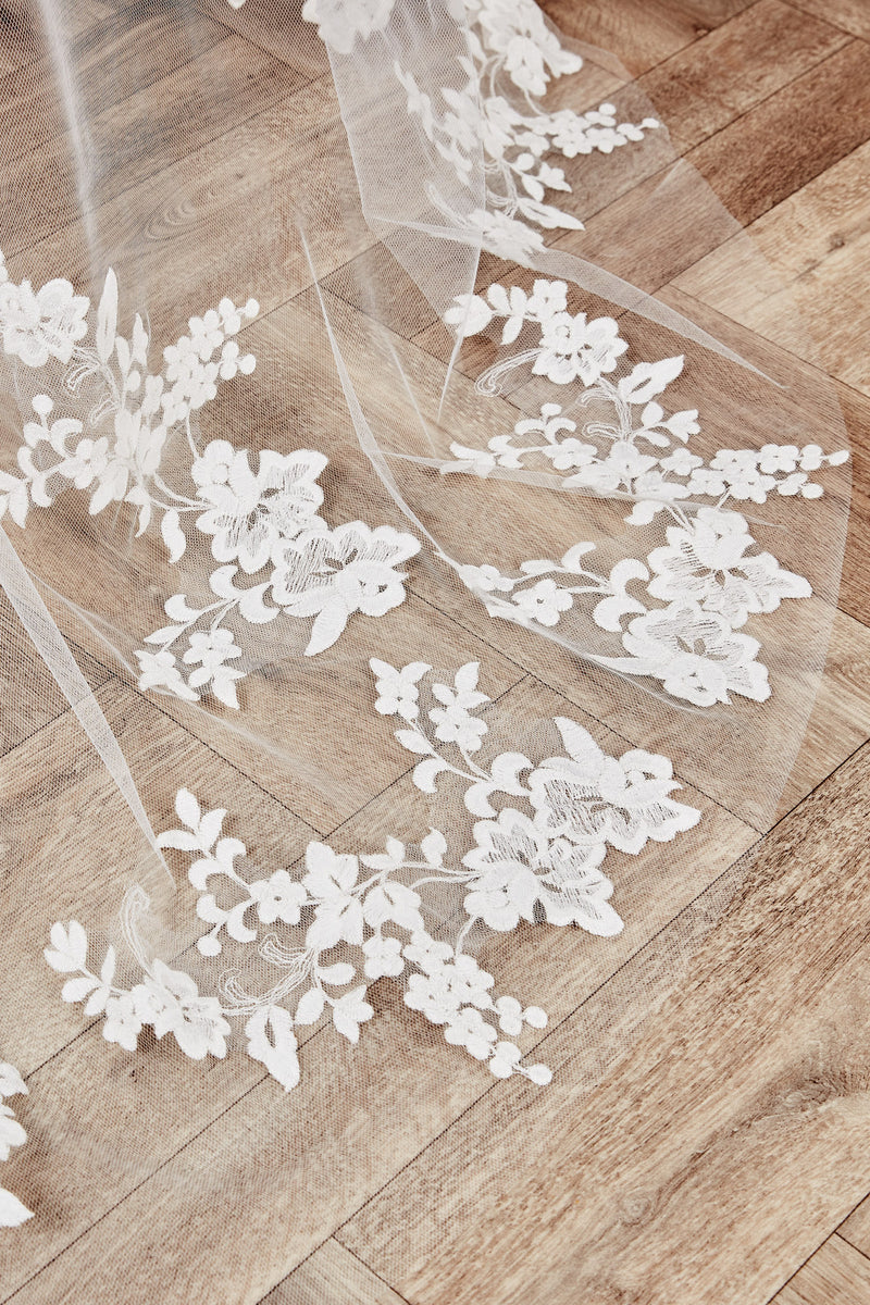 Lori Veil