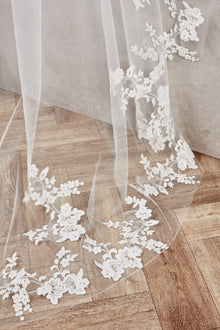 Lori Veil