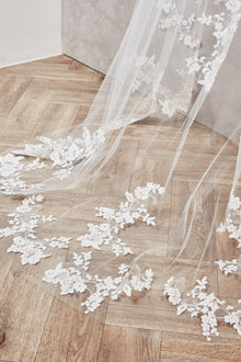 Lori Veil