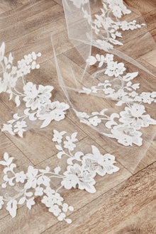 Lori Veil