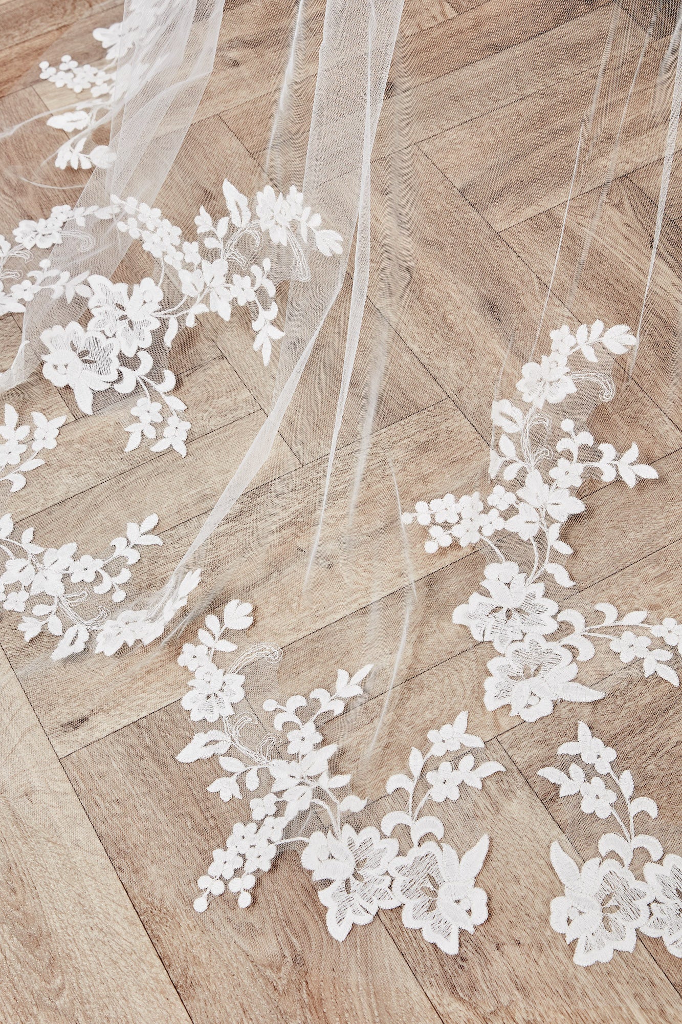 Lori Veil