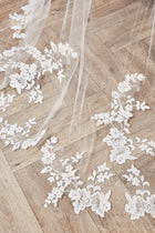 Lori Veil