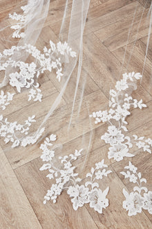Lori Veil