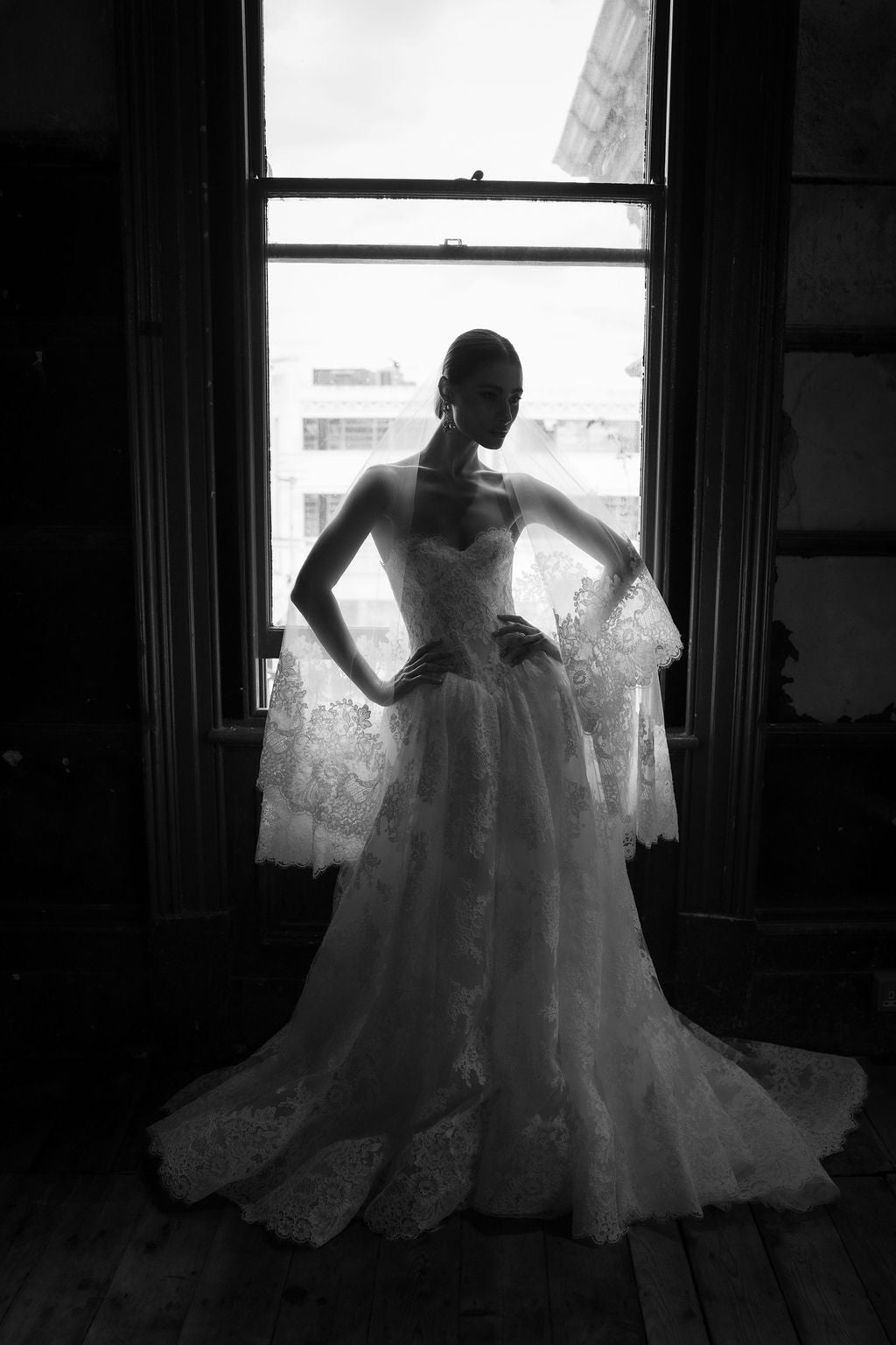 Anita Veil