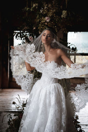 Anita Veil